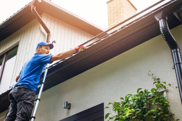 Gutter Cleaning Services – Why Do You Need the Help of Professionals?