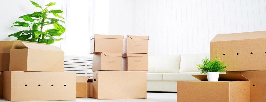 Undeniable Reasons: Why Hiring Professional Movers in Toronto Is Better Than Not 