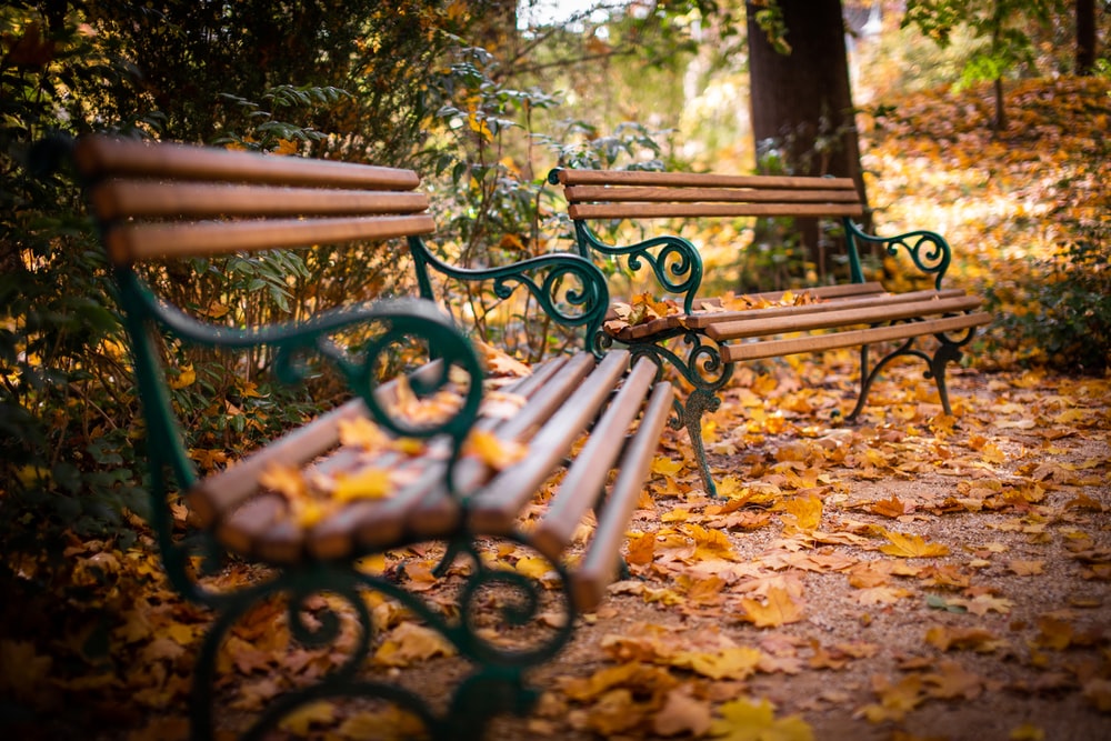 The Guide to Buying Park Benches: Everything You Need Know!