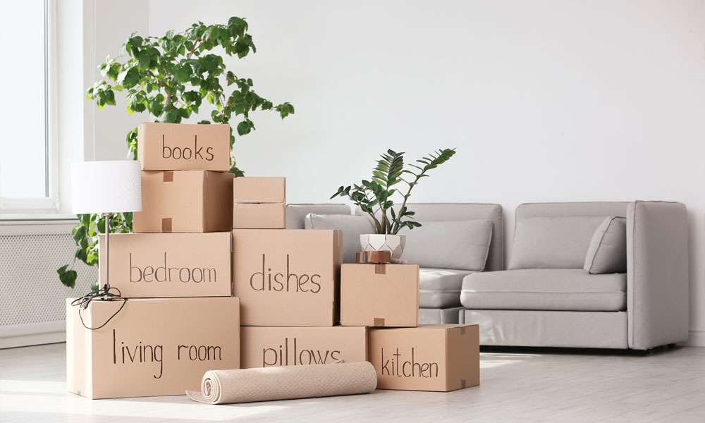 Why You Should Consider a Moving Company with Packing Services