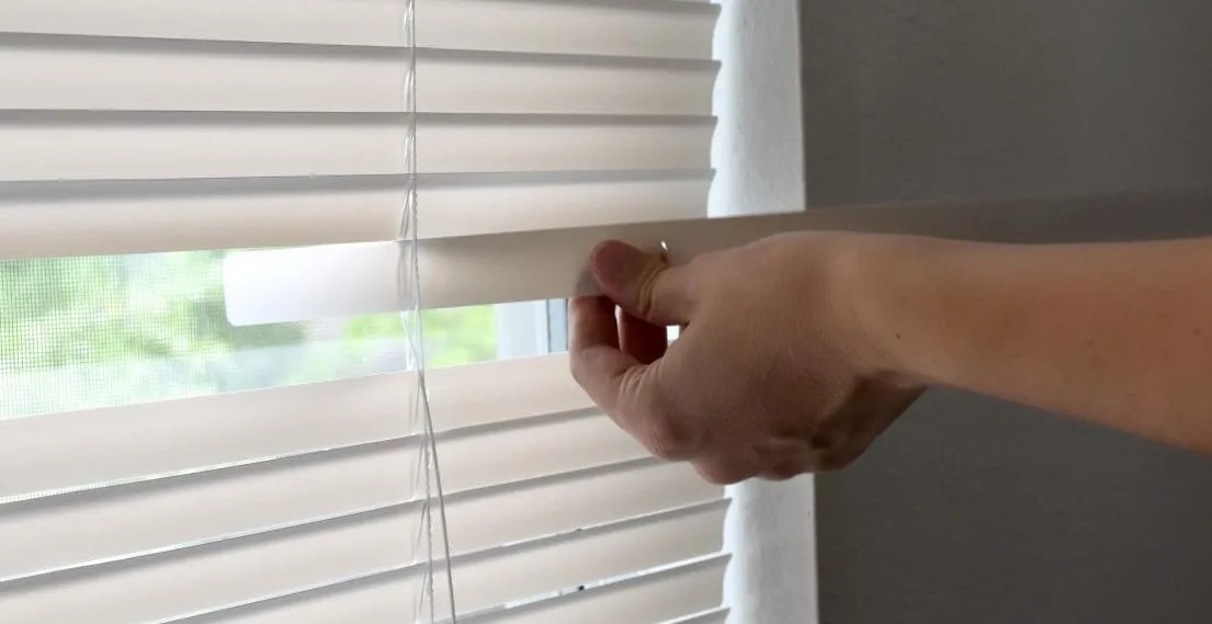 Window Blinds